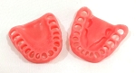 860 Upper and Lower Gingiva